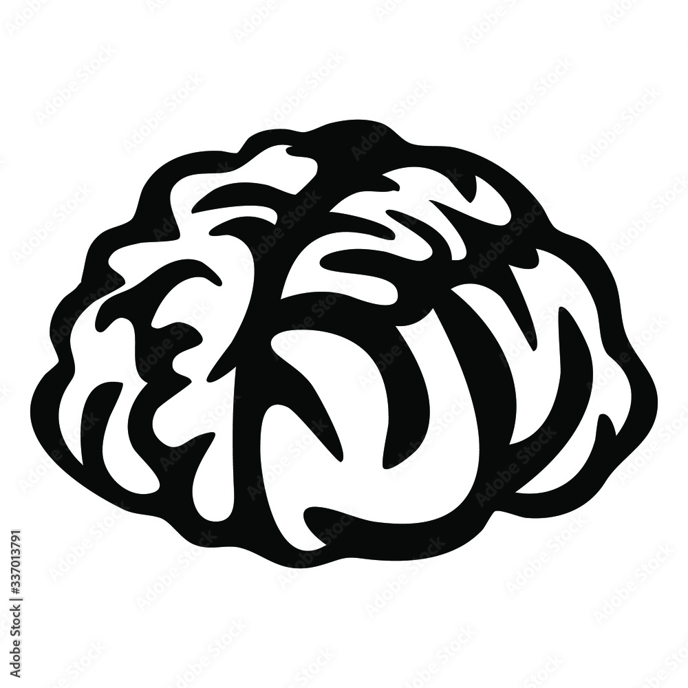 Fototapeta premium vector illustration of brain