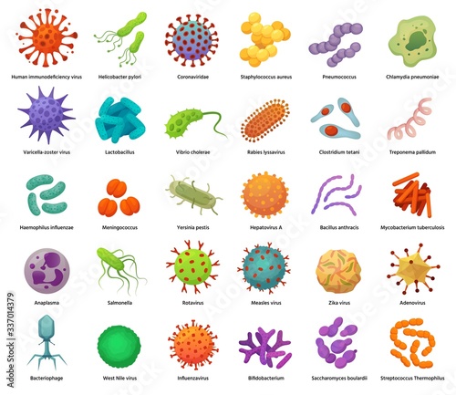 Bacteria and virus icons. Disease-causing bacterias, viruses and microbes. Color germs, bacterium types vector illustration set. Coronavirus and bacterium, pathogen hepatovirus and zika photo