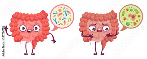 Intestinal microflora. Digestive system care, intestinal bacterias and probiotics cartoon vector illustration. Medical bacteria and anatomy digestive, gastrointestinal microflora photo