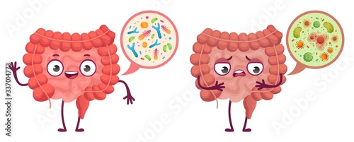 Intestinal microflora. Digestive system care, intestinal bacterias and probiotics cartoon vector illustration. Medical bacteria and anatomy digestive, gastrointestinal microflora