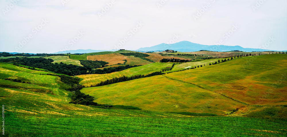 Traditional countryside and landscapes of beautiful Tuscany. Rolling hills golden colors and cypresses. Inspiring view. Italy. Vintage tone filter effect with noise and grain.