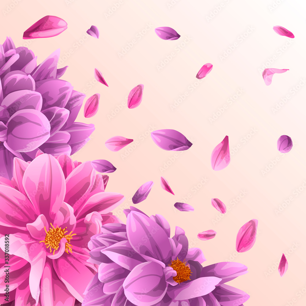 Dahlia with petals. copy space