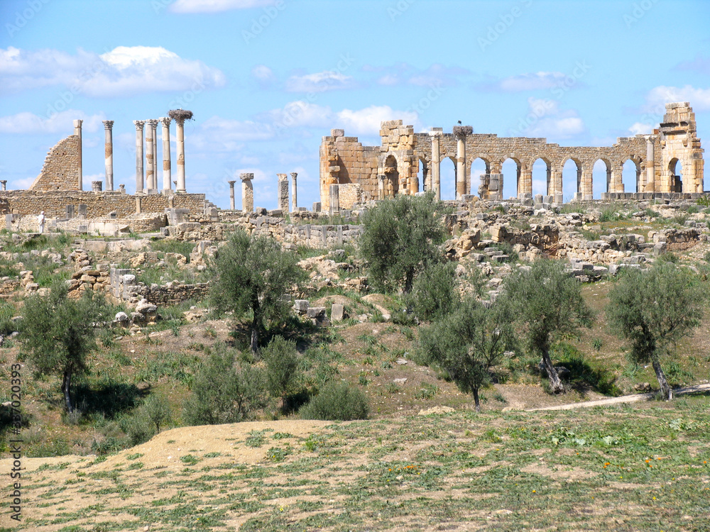Fototapeta premium Morocco. Roman archeological site of Volubilis