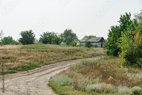 Steppe road. Ecology concept. Summer light © vitleo