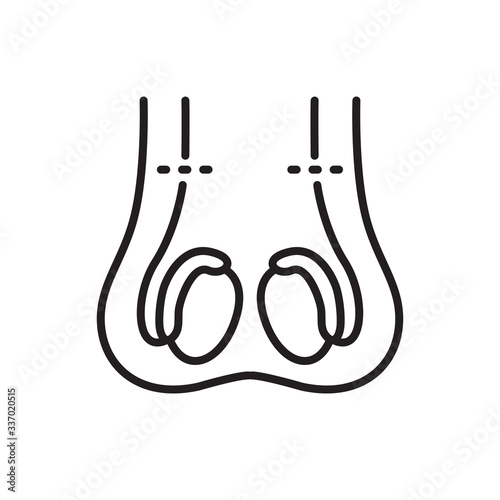 vasectomy line icon, vector illustration