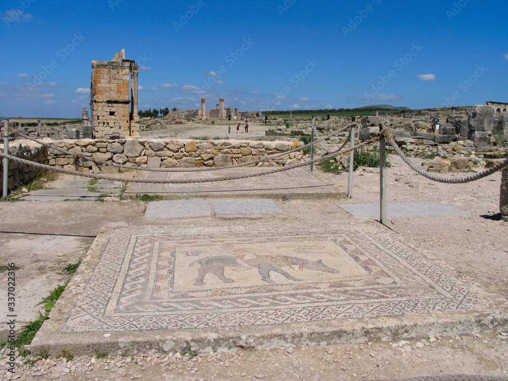 Obraz premium Morocco. Roman archeological site of Volubilis
