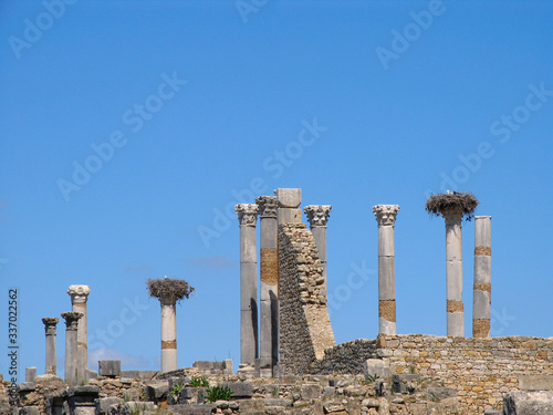 Morocco. Roman archeological site of Volubilis photo