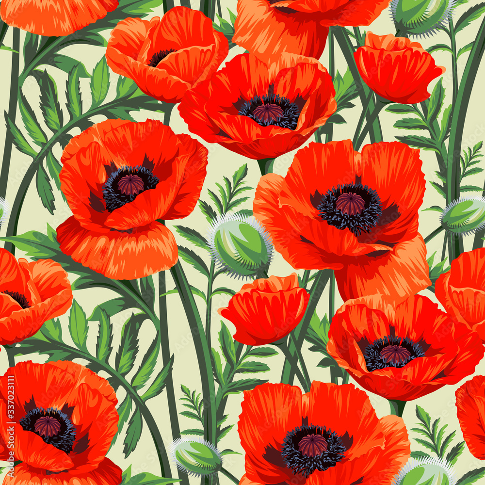 Obraz premium Seamless pattern with red Common Poppy (Papaver rhoeas) flowers isolated on white background. Spring illustration.