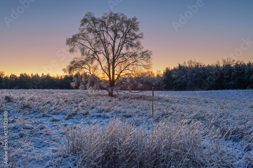 Winter landscape at dawn of an iced meadow after a freezing rain event, Al Sabo Land Preserve, Michigan, USA © Dean Pennala
