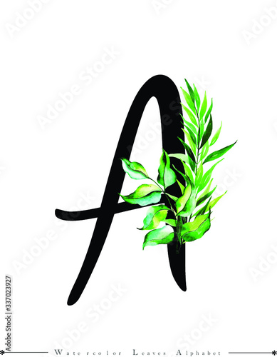 Alphabet Letter with Watercolor Leaves Background