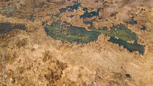 Aerial view of the dirty swamp with dry grass around. Natural landscape background. Abstract textured surface. photo