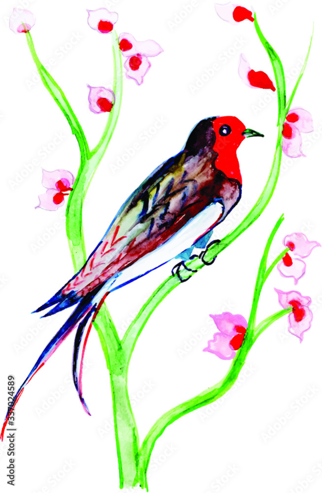 Beautiful Watercolor Exotic Bird Collection