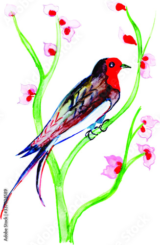 Beautiful Watercolor Exotic Bird Collection