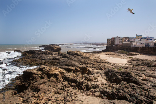 Maroc,Essaouira photo