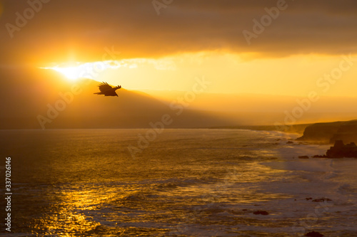view of a sunset from cliffs towering over the coastline