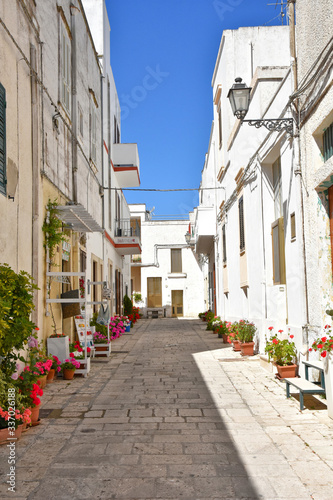 Fototapeta Naklejka Na Ścianę i Meble -  In the streets of Castro, seaside village in the Puglia region, Italy