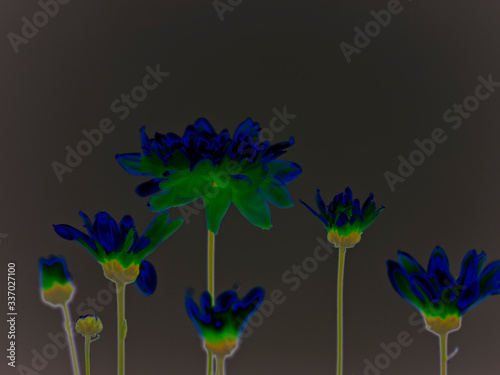 abstrakte blumen