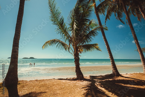 Beautiful blue sky over sunny beach with palm trees alley. Tropical scene in Southeast Asia