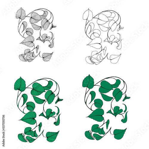 Set of branches of liana Isolated on a white background. Hand drawn.