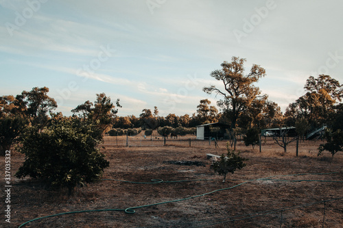 Australian farm with green trees