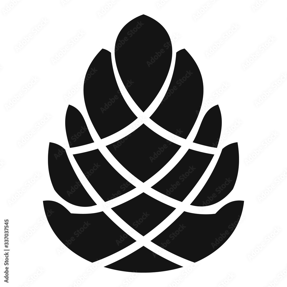 Photography Decoration pine cone icon