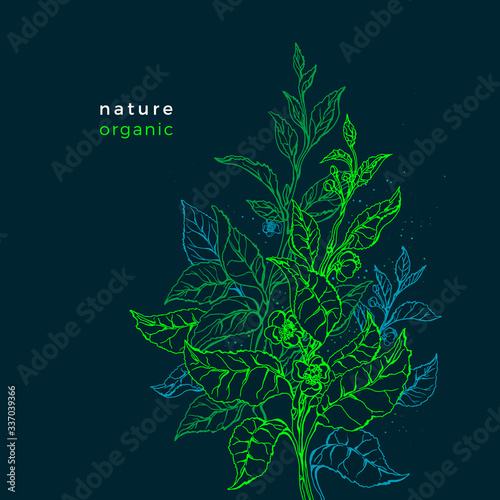 Green fresh template. Vector floral bush of tea