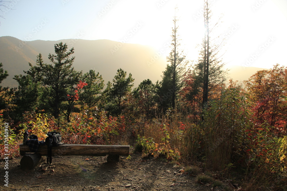 Obraz premium Smoky Mountains