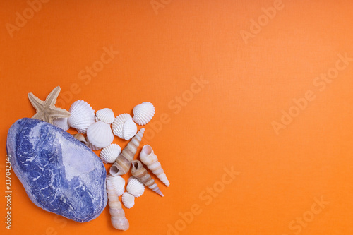 layout, searock and seashells on an orange background photo