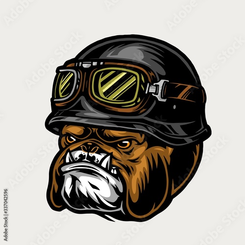 Colorful aggressive biker bulldog head