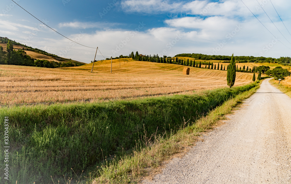 Fototapeta premium Summer in the D'Orcia valley in Tuscany in the town of Pienza