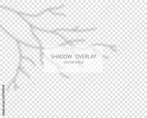 Shadow overlay effect. Branch shadow. Natural shadows isolated on transparent background. Vector illustration. 