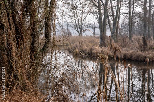 Fototapeta Naklejka Na Ścianę i Meble -  Rzeka Supraśl. Dolina Supraśli. Puszcza Knyszyńska, Podlasie, Polska