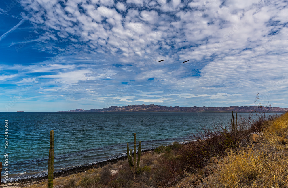 Roadtrip durch das wunderschöne Baja Kalifornien Roadtrip durch das wunderschöne Baja Kalifornien