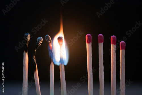 Matchsticks fire burn on black background.Image for the conceptaul of how to stop the coronavirus from spreading, social distancing and stay at home.Risk management concept. © arcyto
