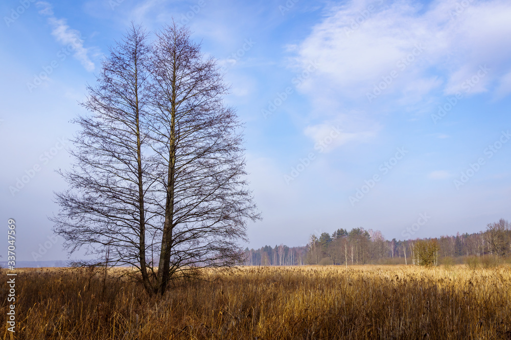 Rzeka Supraśl. Dolina Supraśli. Puszcza Knyszyńska, Podlasie, Polska Rzeka Supraśl. Dolina Supraśli. Puszcza Knyszyńska, Podlasie, Polska