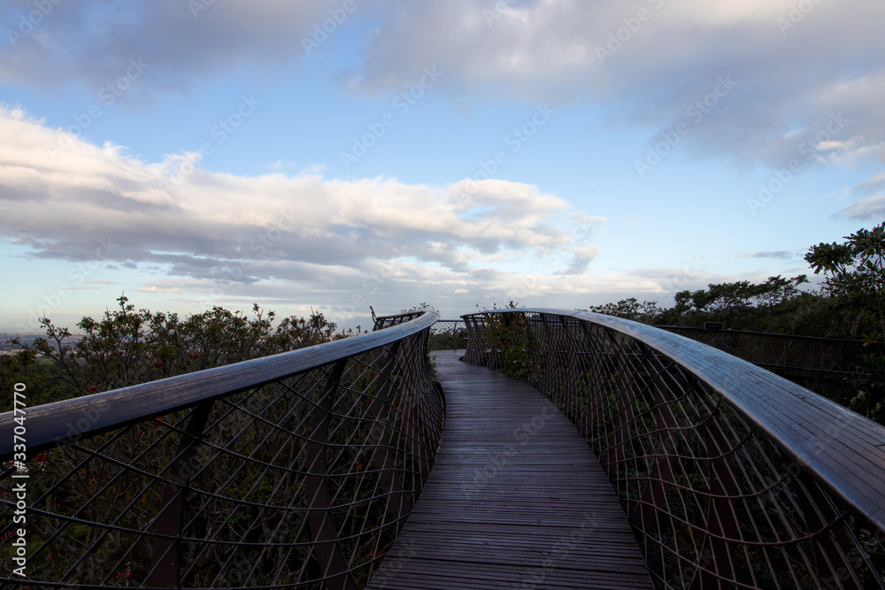 Brücke im Kirstenbosch Botanischen Garten (Kapstadt, Südafrika)