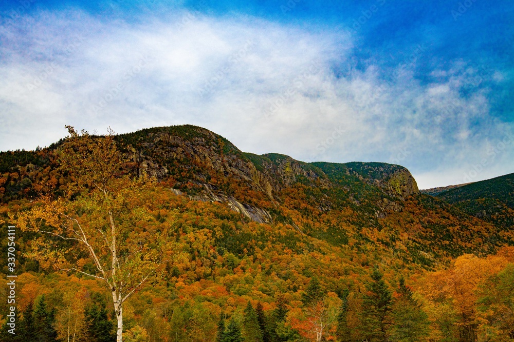 Obraz premium Fall Color