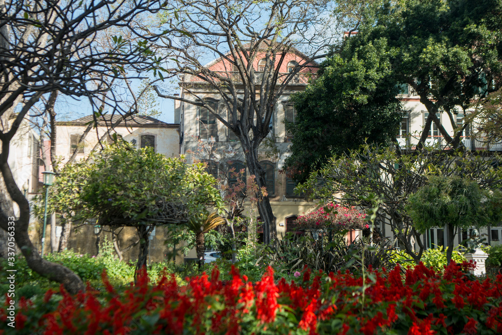 Naklejka premium PORTUGAL MADEIRA FUNCHAL JARDIM MUNICIPAL