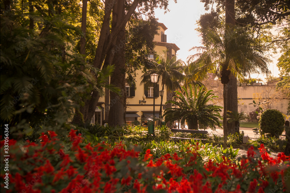 Fototapeta premium PORTUGAL MADEIRA FUNCHAL JARDIM MUNICIPAL