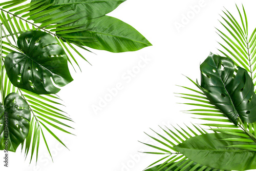 Green leaf frame with copy space isolated on white