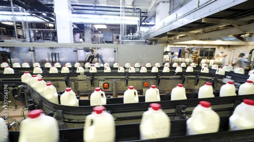 Plastic milk bottles with milk on production line at dairy factory