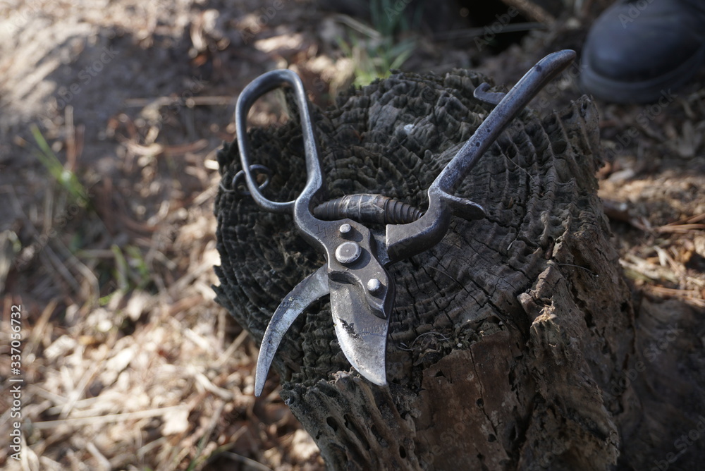 Gardening Secateurs For Cutting Branches Gardening Secateurs For Cutting Branches