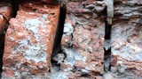 The wall of an old building. Ruined red bricks. The wall of the house needs repair. Wall of destroyed red bricks, close up.