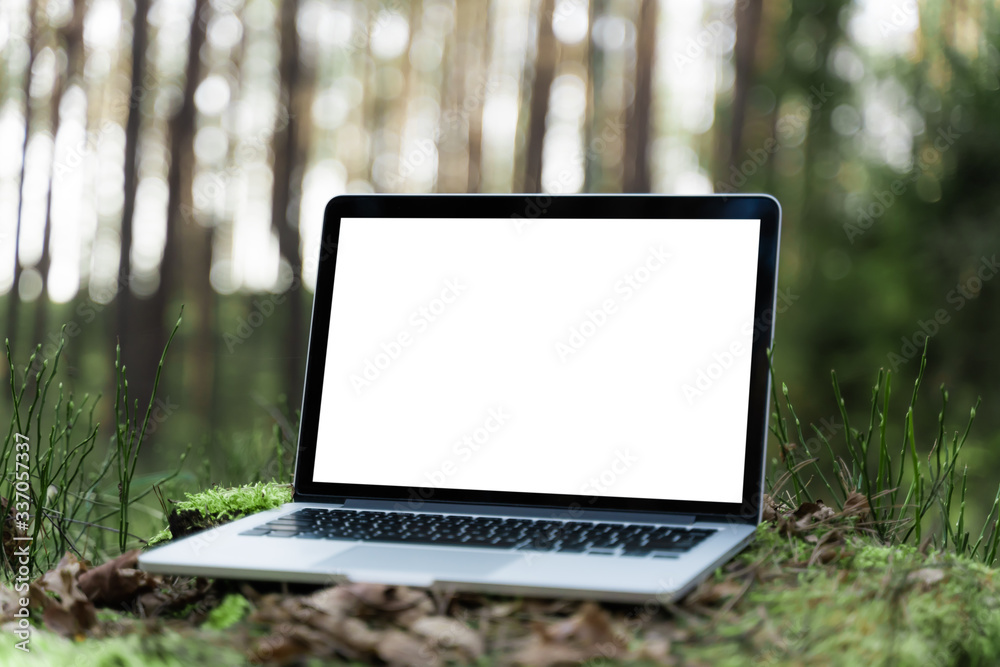custom made wallpaper toronto digitalLaptop outside concept. Empty copy space, blank screen mockup. Soft focus laptop in nature background. Ecology travel and work outside office concept.