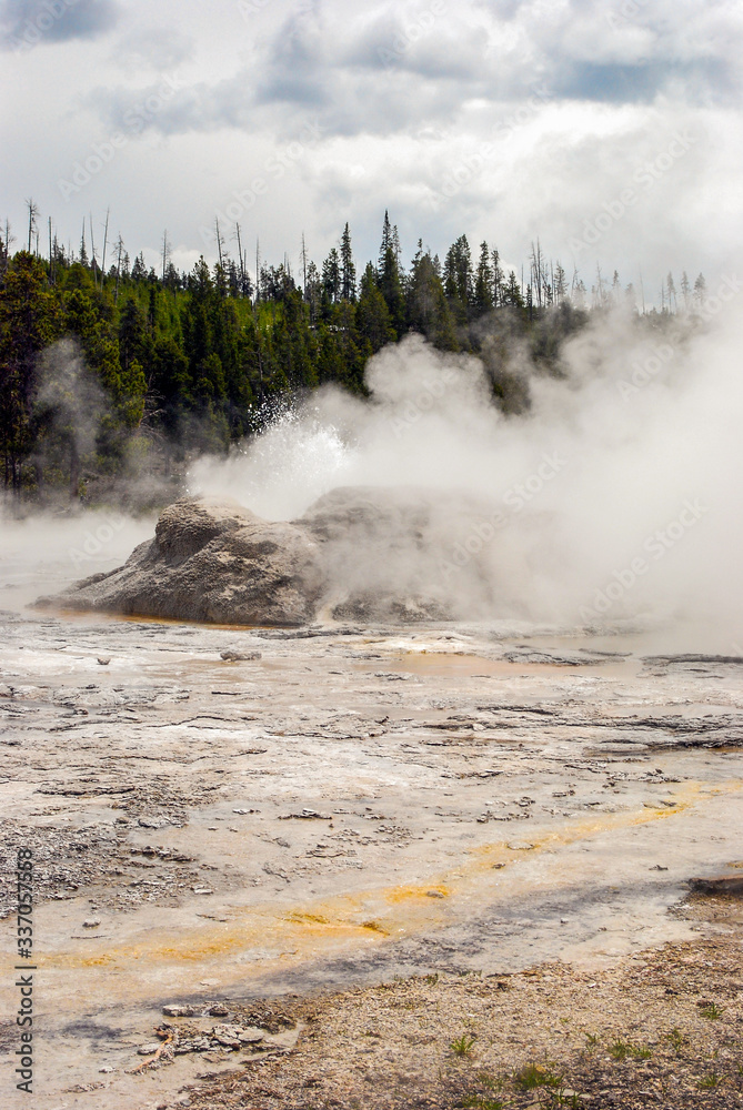 Steam spewing from Grotto Geyser in the Upper Geyser Basin of Yellowstone National Park