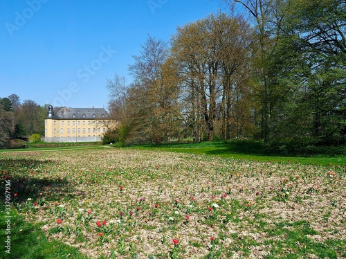 Photography Castle of Schloss Dck in Juechen in spring