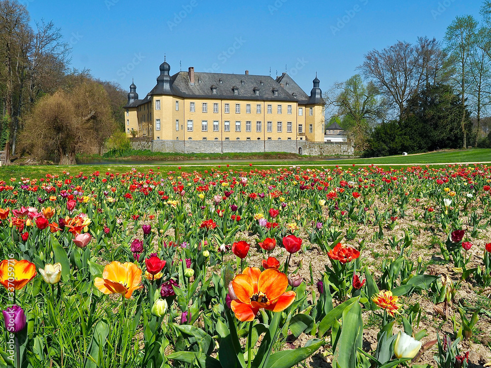 Castle of Schloss Dck in Juechen in spring