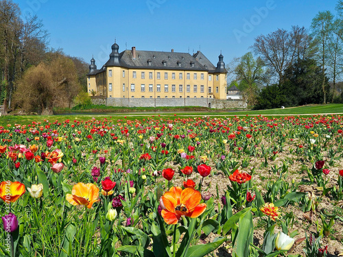 Obraz na plátně Castle of Schloss Dck in Juechen in spring