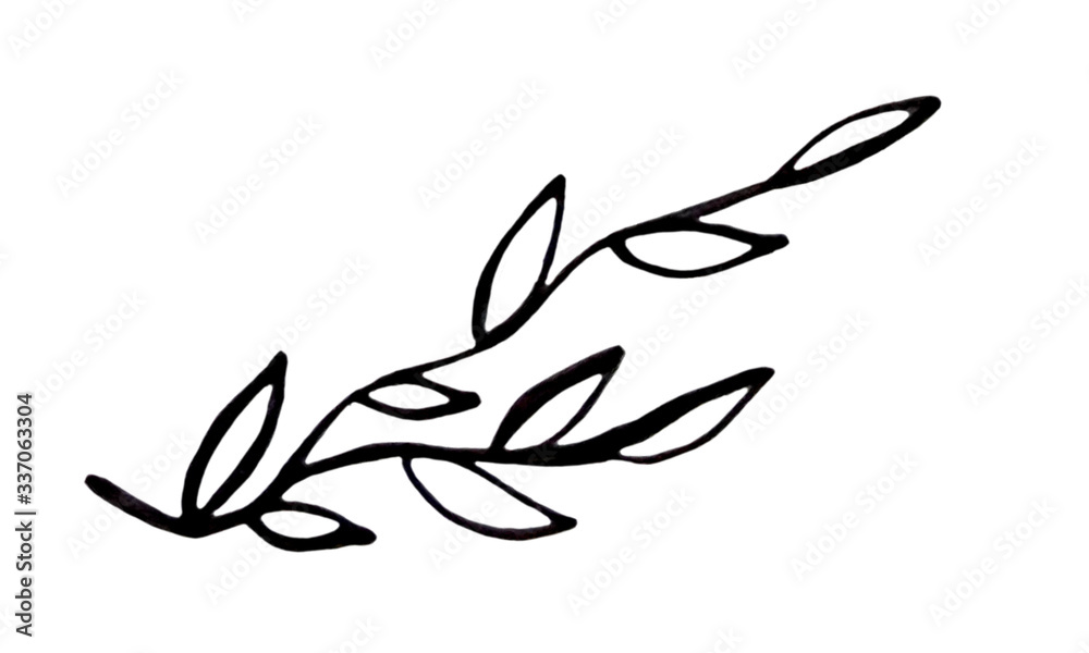 black and white spring branches on a white background. Can be used for print and design. illustration black and white spring branches on a white background. Can be used for print and design. illustration