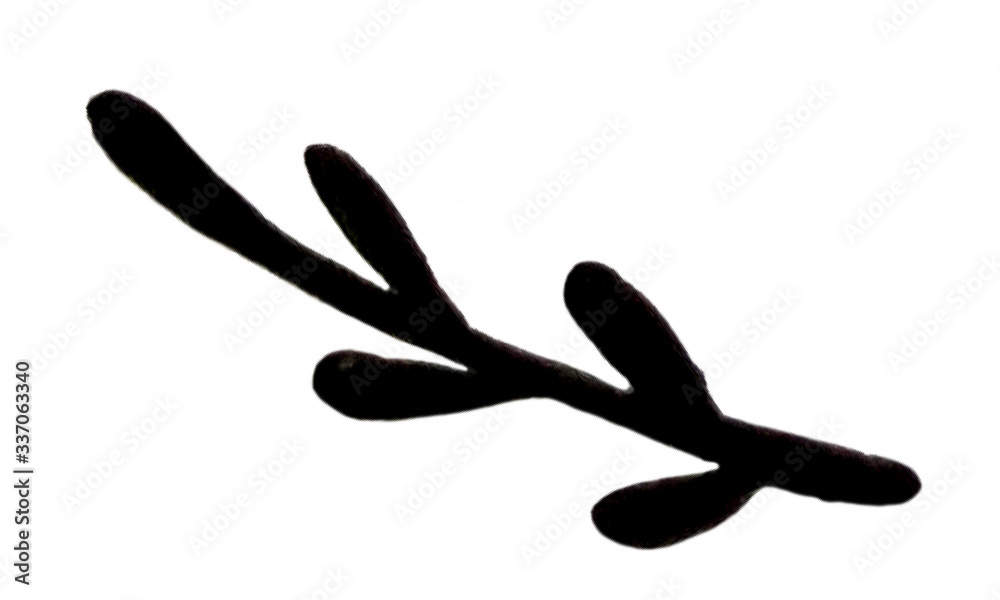 black and white spring branches on a white background. Can be used for print and design. illustration black and white spring branches on a white background. Can be used for print and design. illustration